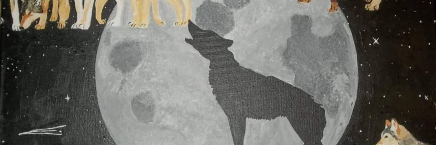 TLW25239632's profile banner image