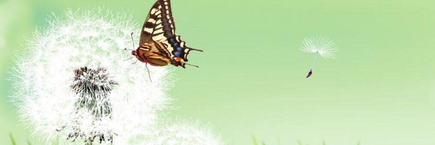 Hazel Chee (elle/her) banner