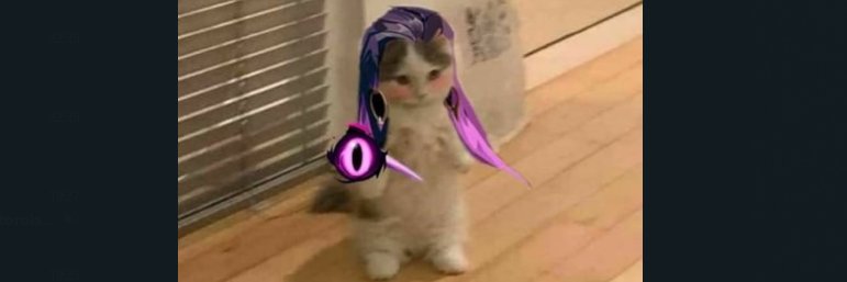 leo_macieldutra's profile banner image