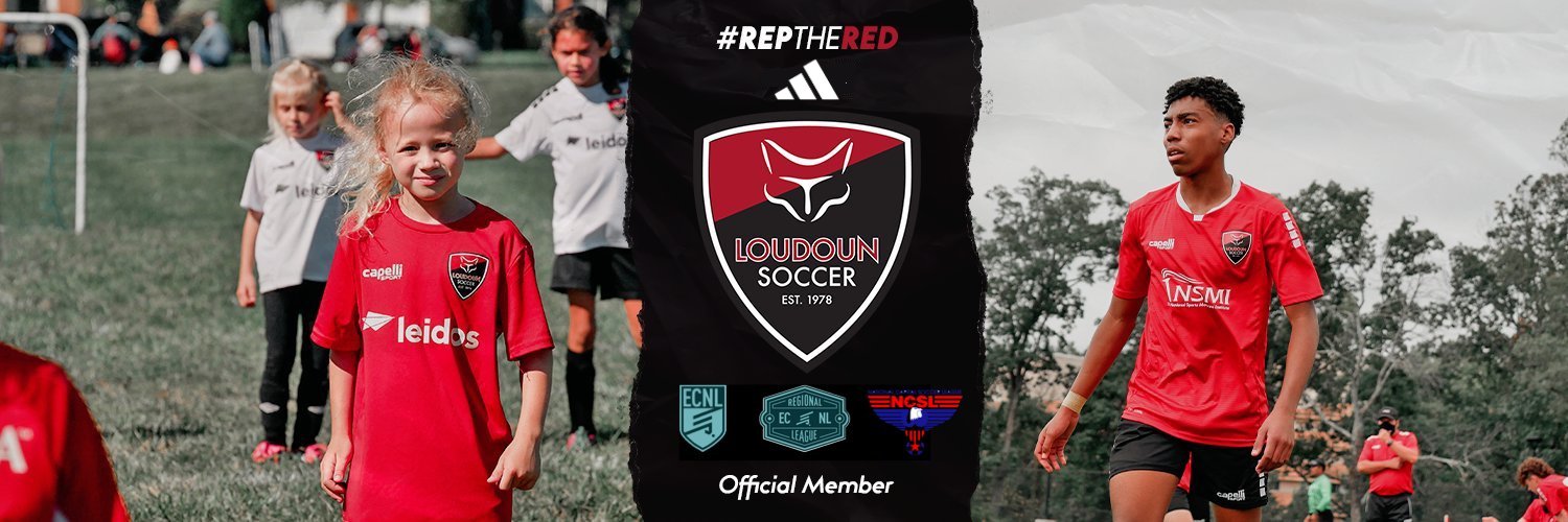 Loudoun Soccer banner