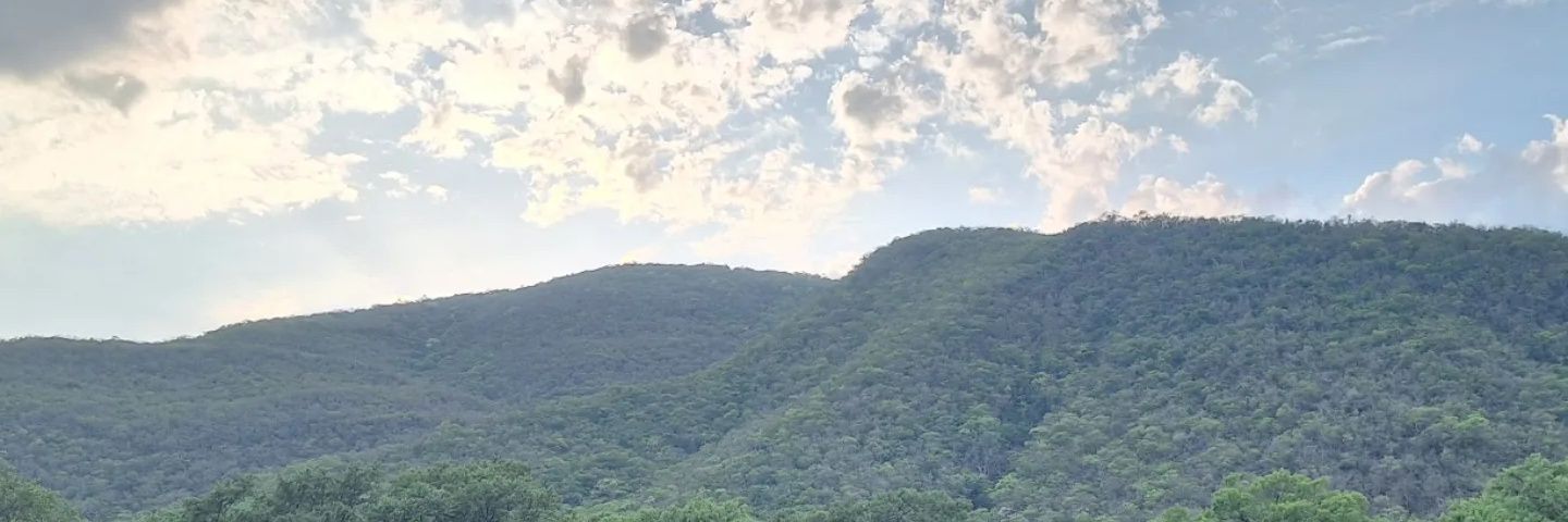 Ckaarly's profile banner image