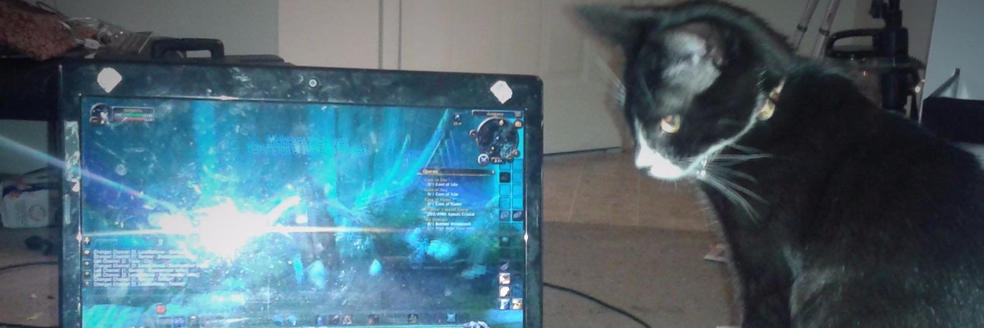 Charlesxaviergk's profile banner image