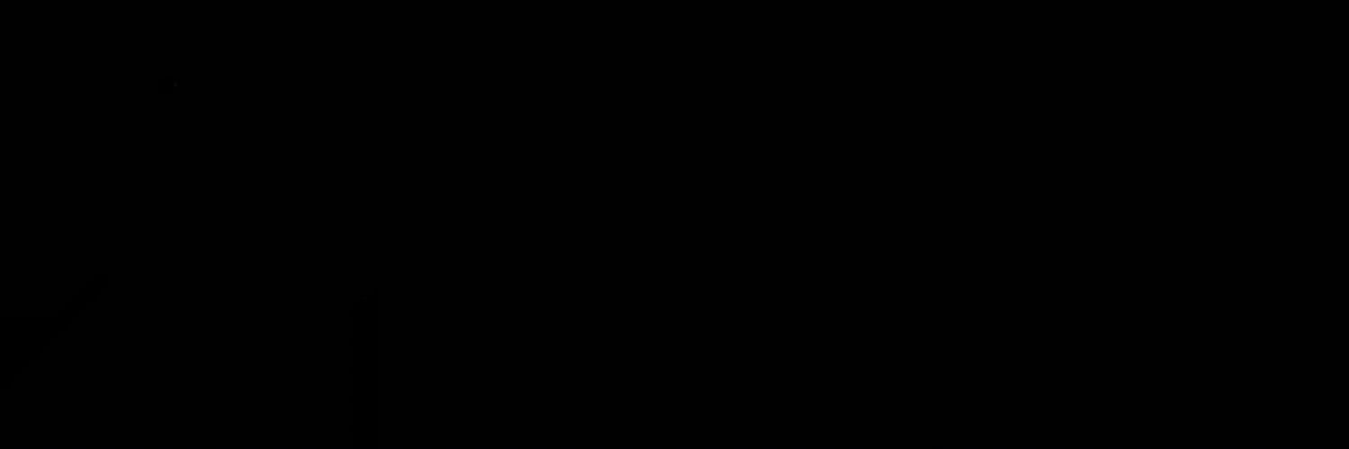 l2_fe's profile banner image