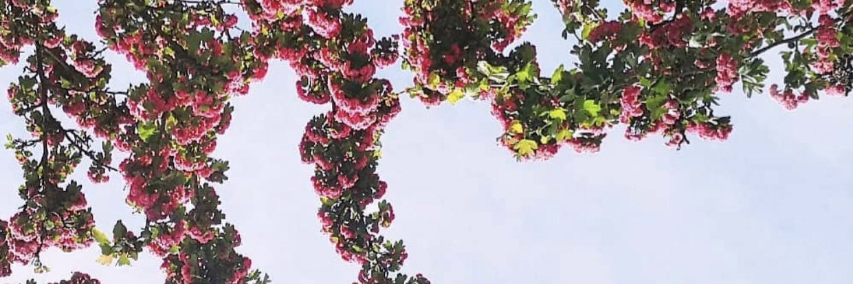 acapricornsview's profile banner image