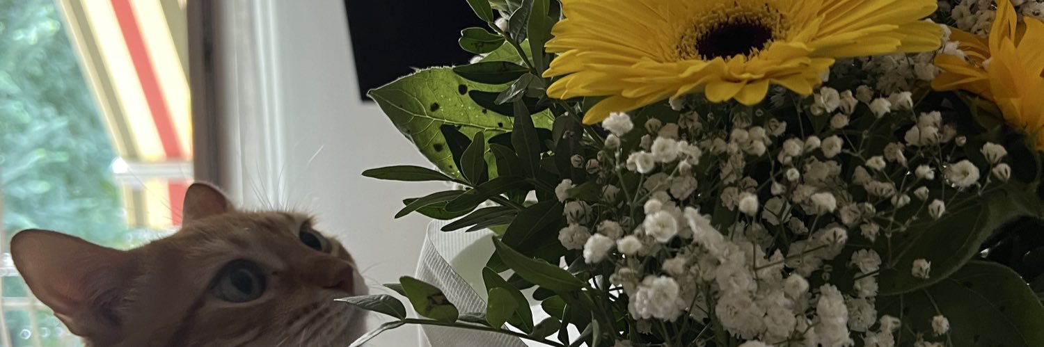 macarenarosa_'s profile banner image