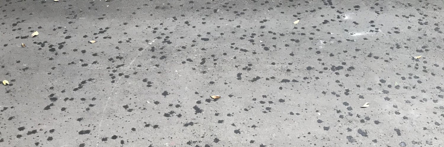 radhdindun's profile banner image
