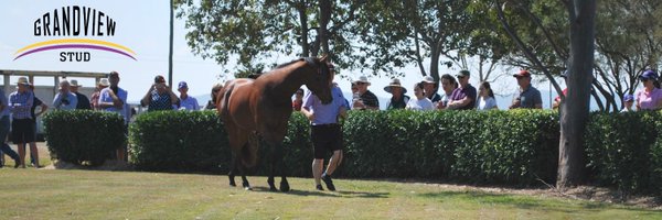 GrandviewStud Profile Banner