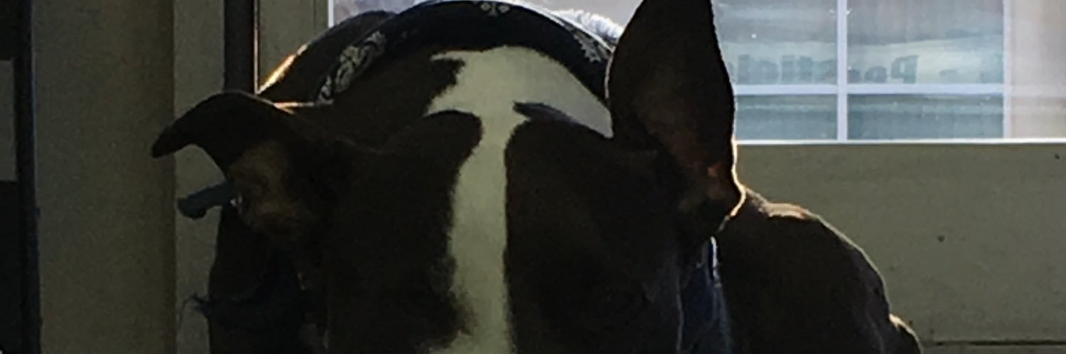 CeeZee09's profile banner image