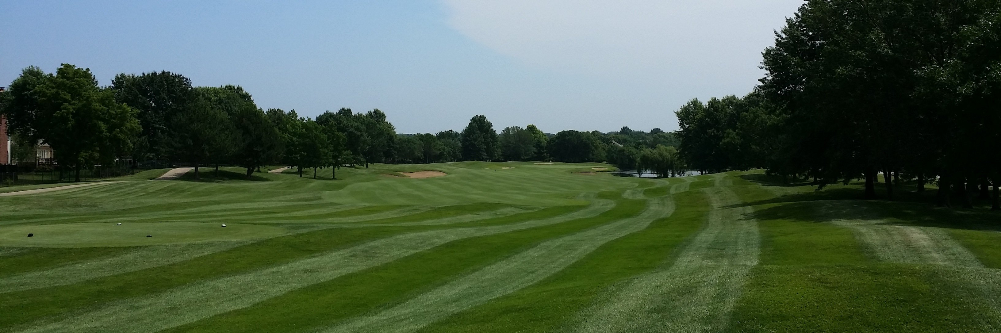 golfnewt's profile banner image