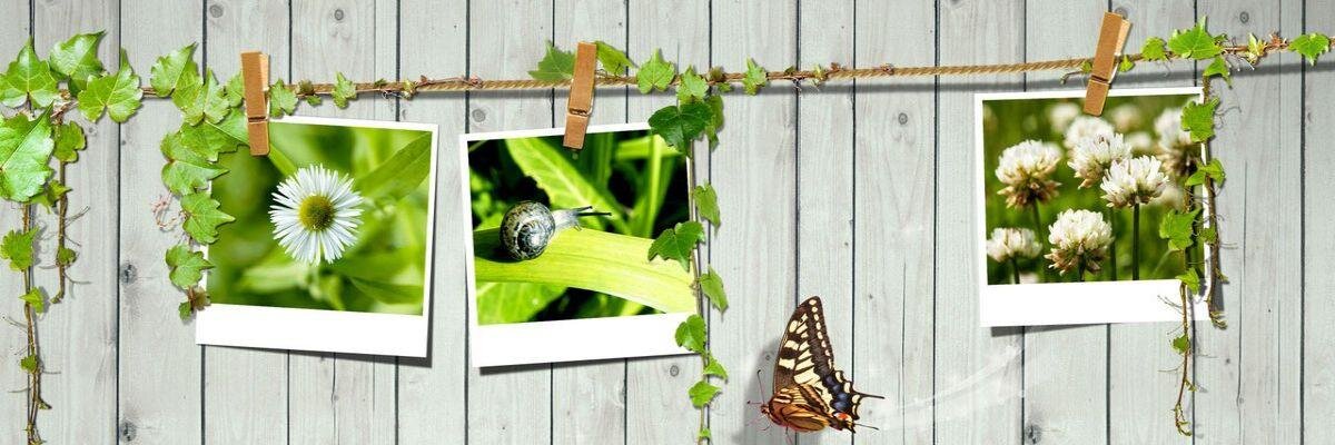 bioconstruverde's profile banner image