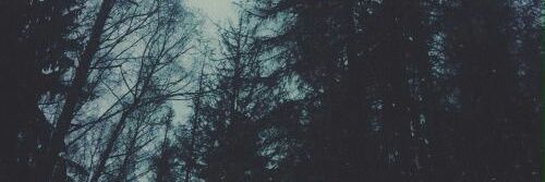 SolveigaKrusti3's profile banner image
