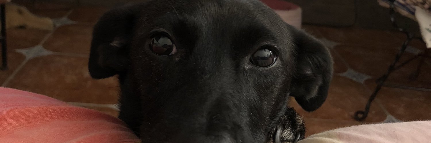 MonicRamz's profile banner image