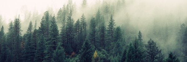 LauraECPaul Profile Banner