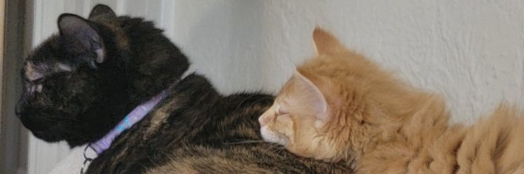 abirich15's profile banner image