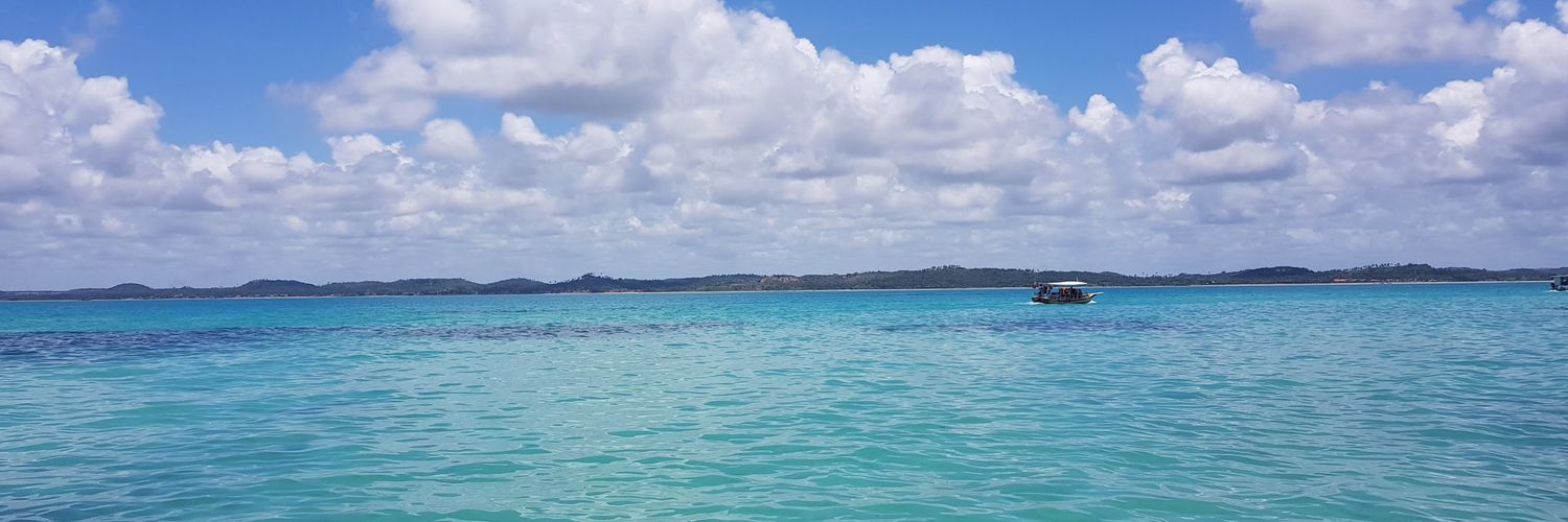 MilagrosPassone's profile banner image