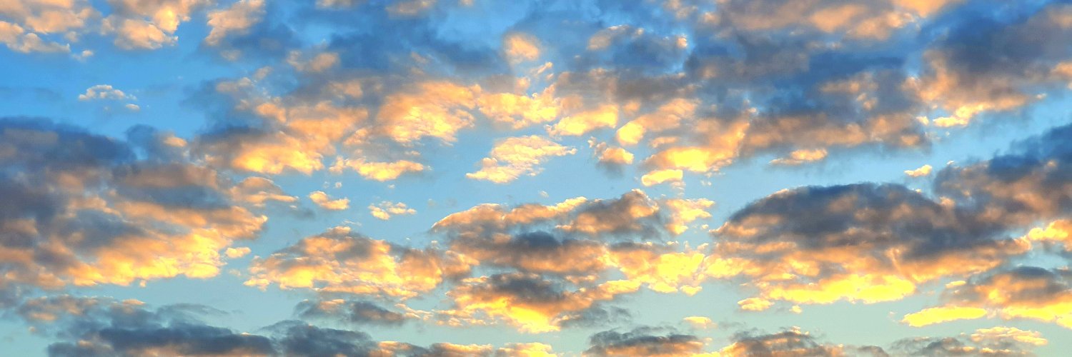 Marcus Bartelt banner