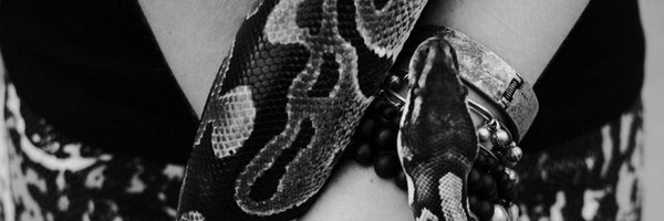 Katrin_Albert Profile Banner