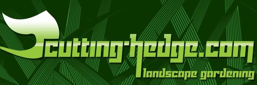_cuttinghedge's profile banner image