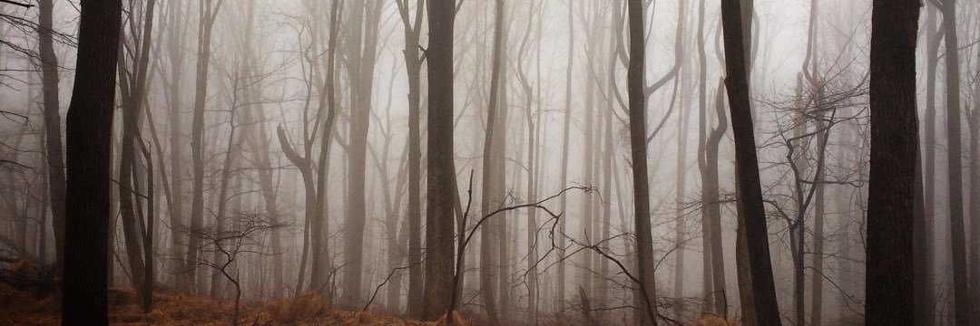 RyanWagner_'s profile banner image