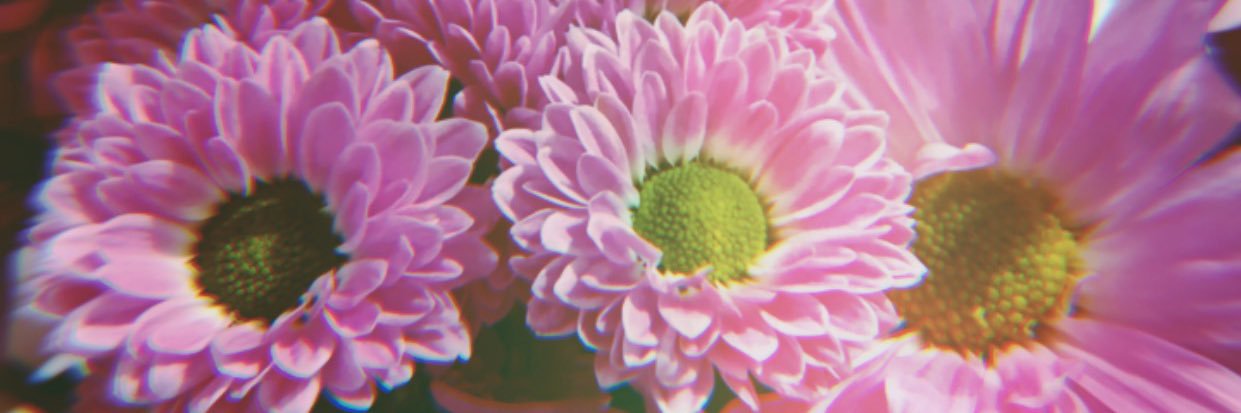 blynnramirez's profile banner image