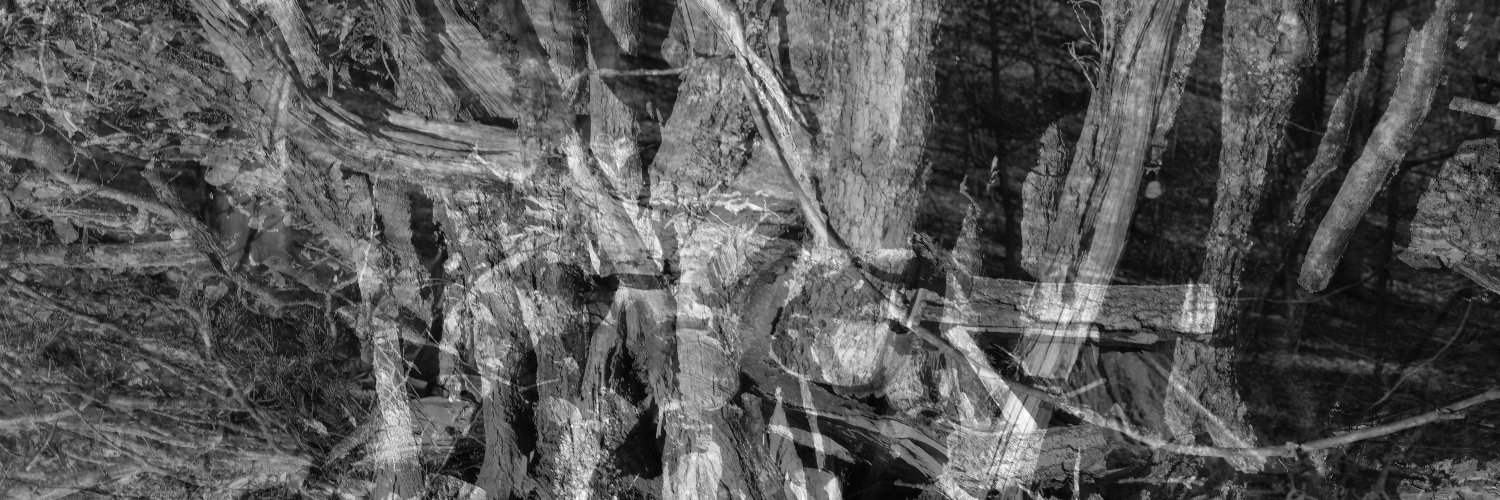 KuehneS's profile banner image