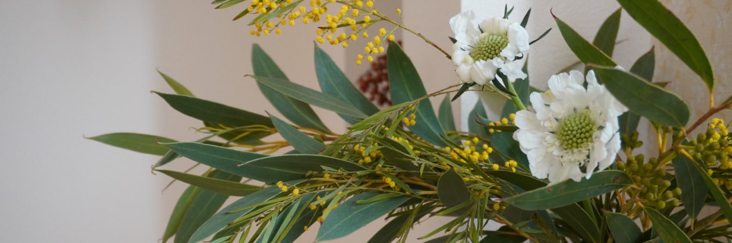 chypre14's profile banner image