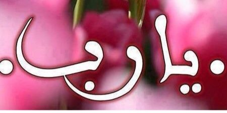 ملك حمزة banner