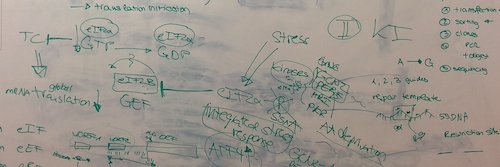 Martin Denzel banner