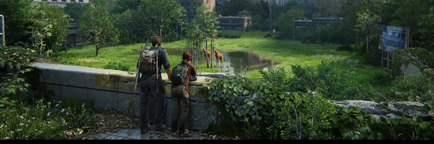 ProteusVulgaris banner