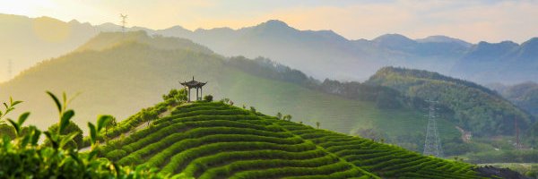 InZhejiang Profile Banner