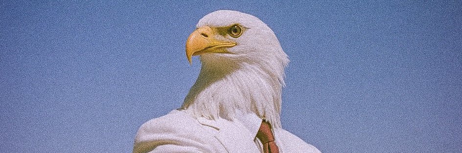 SunDevilElite's profile banner image