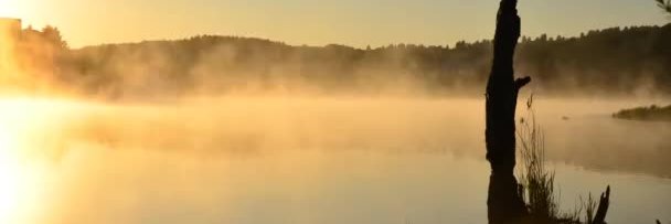 Craig Ferraro banner