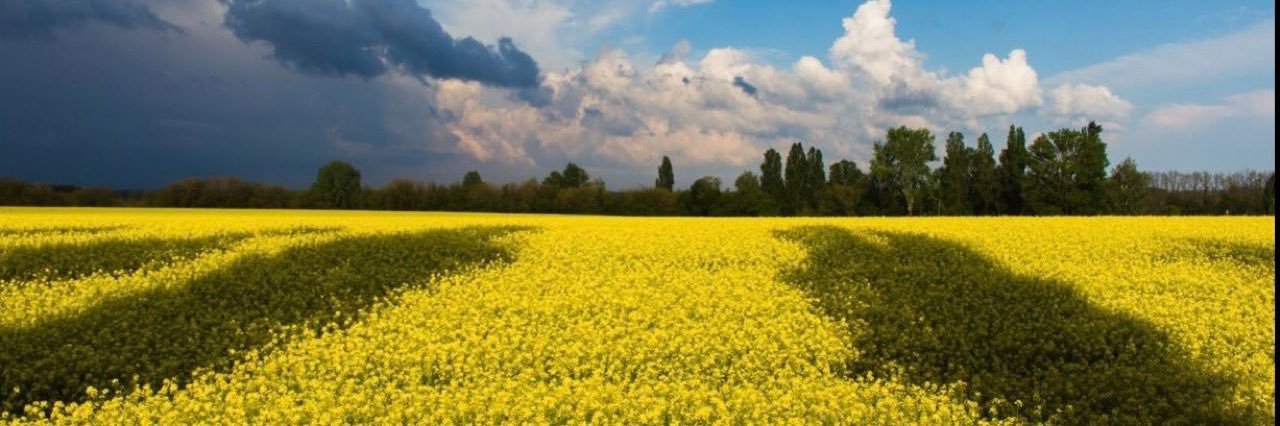 agronh's profile banner image
