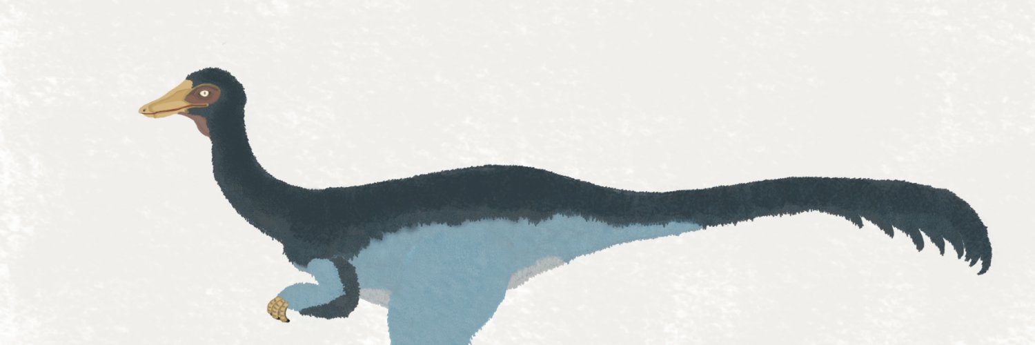 joker06s's profile banner image