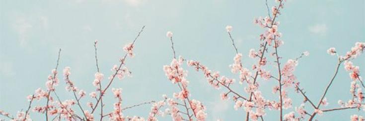 May_clarke93's profile banner image