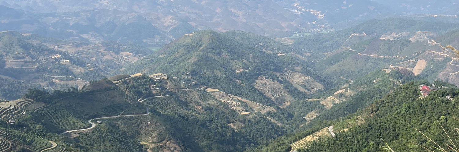 philly flingo banner