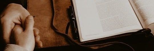 MerilesEvelyn's profile banner image