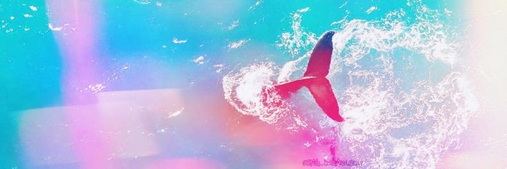 beats_reader's profile banner image