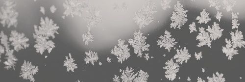 BadassJackFrost's profile banner image