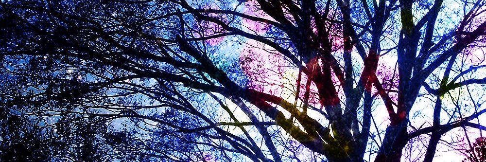 joward2116's profile banner image