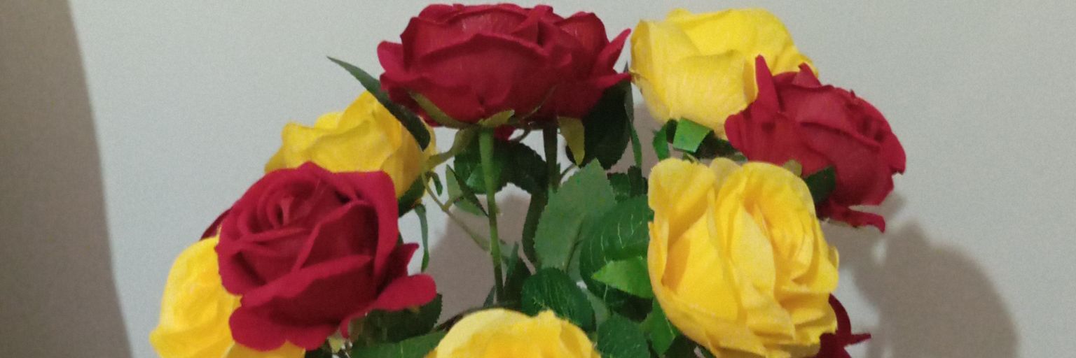 DemiralBirol's profile banner image