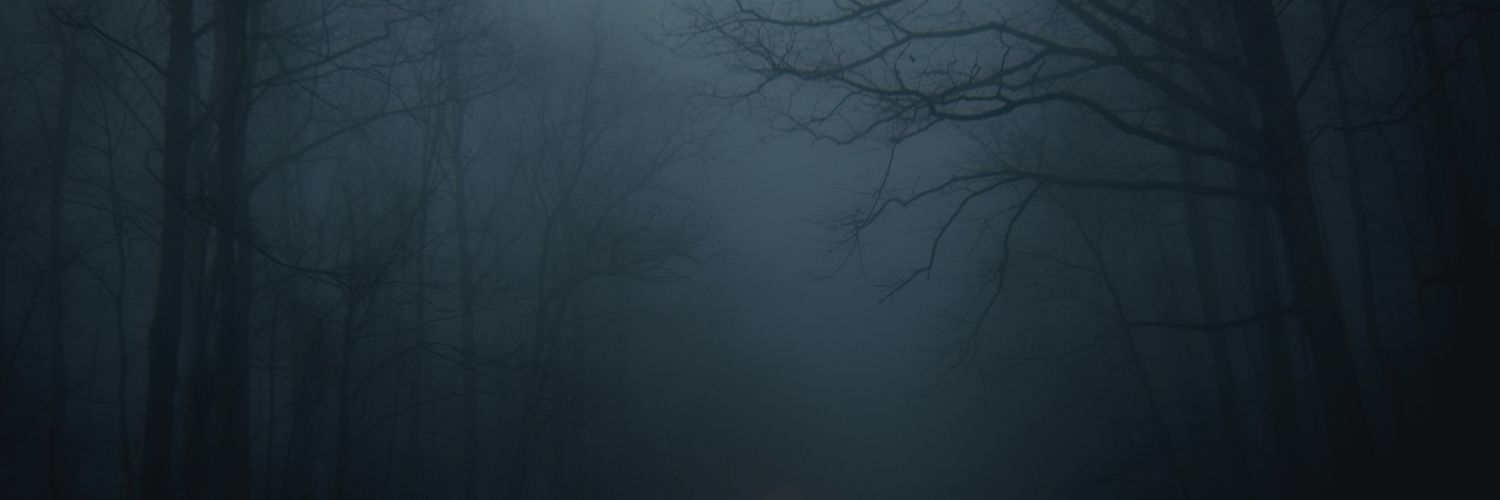 leekib05's profile banner image