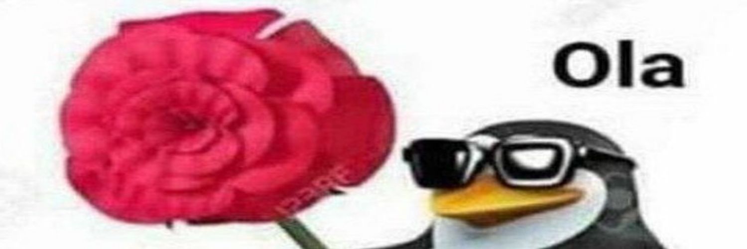 alvacora1's profile banner image
