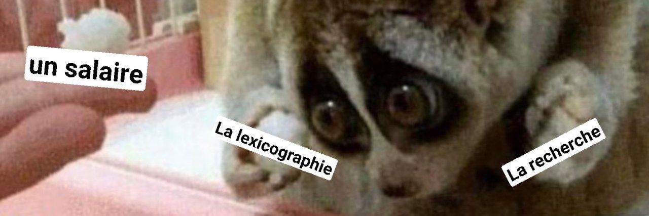 lexicalise's profile banner image