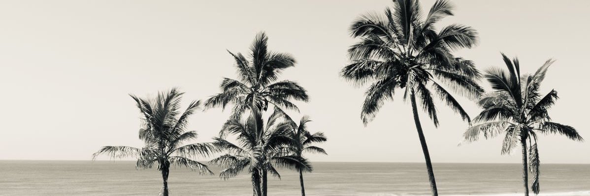 dudadaj's profile banner image