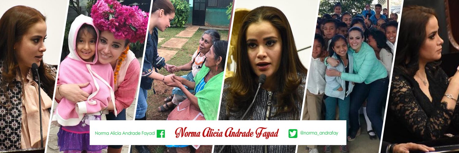 norma_andrafay's profile banner image