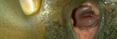high62653667's profile banner image