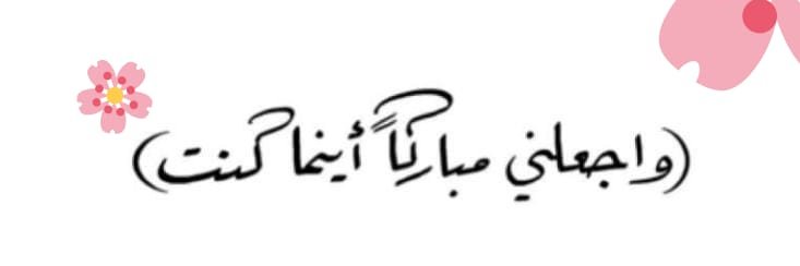 شمس سعد الخويطر 🌸🍃 banner