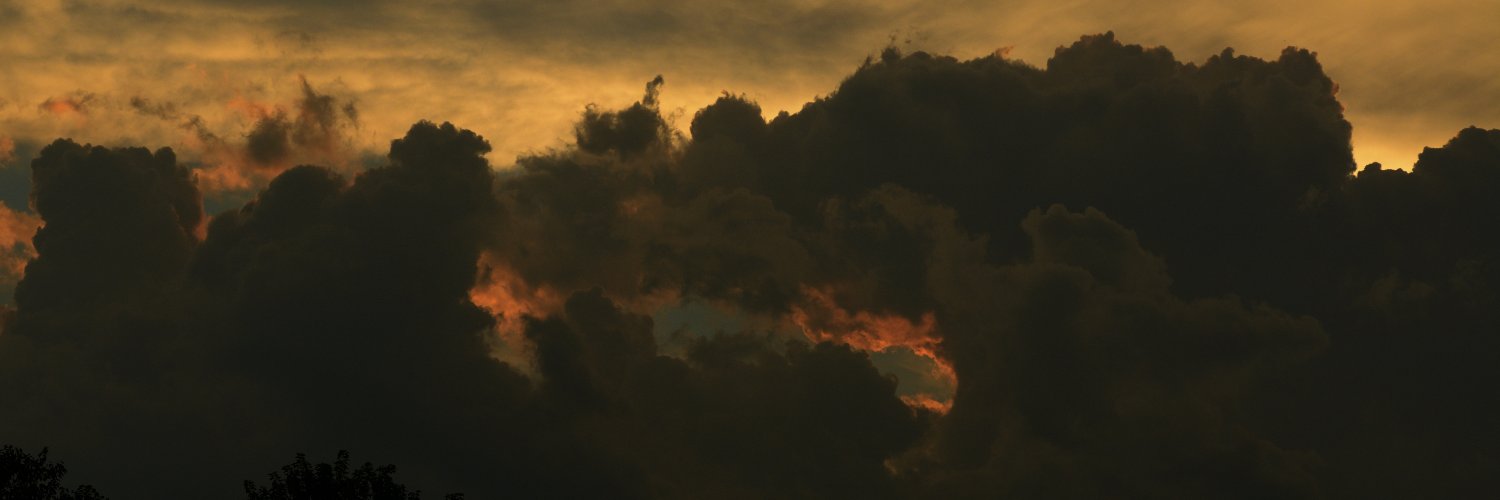 delawarecryptid's profile banner image