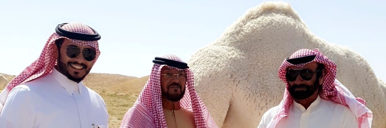 5Al3tibe's profile banner image